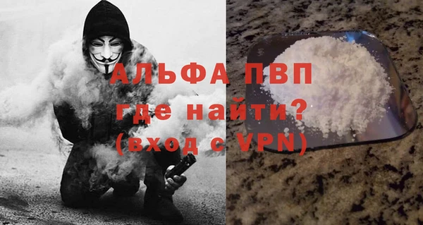 бошки Белокуриха