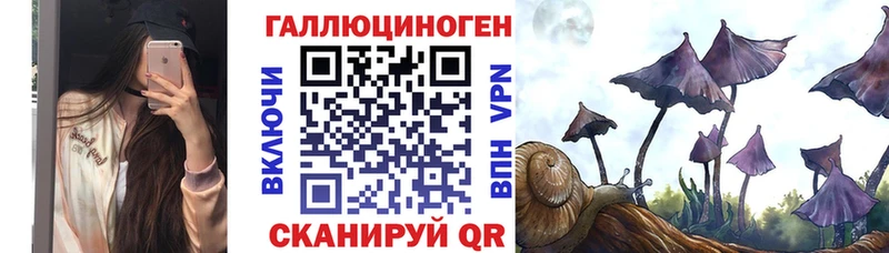 Галлюциногенные грибы прущие грибы  Вязники 